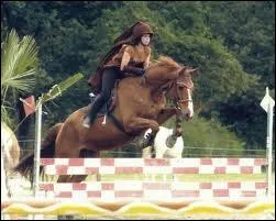 Comment se nomme cet obstacle ?