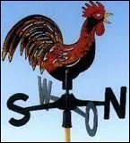 En bois, avec une patte de fer, impossible de séduire une poule ! De toute façon où trouver le temps ? Sa vie se passe à tourner le dos à tout le monde, voyez pourtant l'ardeur mise à défier le ciel.
