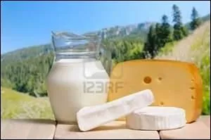 Toujours bien difficile de lui donner un prnom : il faut trop chercher. Et si elle fait partie de nos paysages c'est pour une seule occupation : manger et mieux se transformer en fontaine normande.