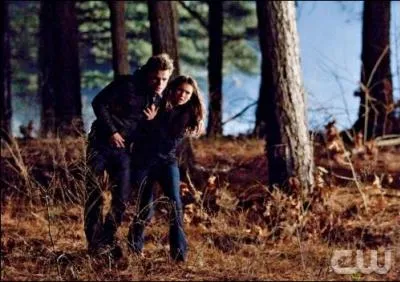 Dans la saison 1, que dit Elena  Stefan quand elle veut le faire boire  son poignet ?