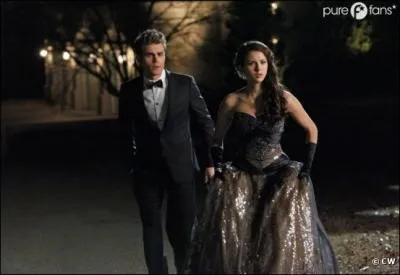 Aprs quel vnement Stefan a-t-il dcid de ne plus rien ressentir ?