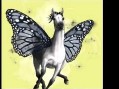 Combien faut-il avoir de jours d'anciennet pour pouvoir crer un topic ?