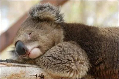 Vous n'avez srement pas oubli cette chanson : Sweet dreams !