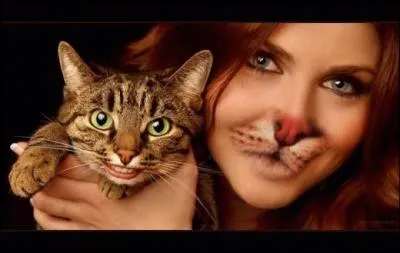 Cet auteur-compositeur nous dit : Elle cherche des puces  son chat !