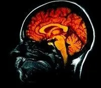 Nous n'utilisons que 10 % des capacits de notre cerveau.