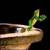 Aujourd'hui dimanche, la  priante  est pleine. Les  lche-cur  se retrouvent dans la  piaule du Mec des mecs .