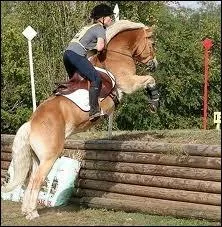 Comment s'appelle cet obstacle ?