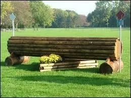 Un tronc se franchit...