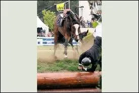 Qu'est-ce que c'est ?