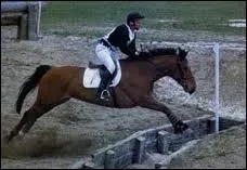 Comment s'appelle cet obstacle ?