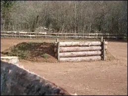 Comment se nomme cet obstacle ?