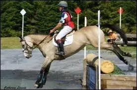 Quel est cet obstacle ?