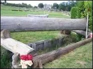 Quel est cet obstacle ?