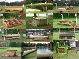 En gnral, de quel type sont les obstacles de cross ?