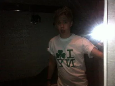 De quelle ville Niall est-il originaire ?