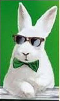 Pour quelle marque ce lapin a-t-il fait de la publicit ?