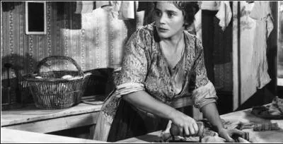 Abandonne par le pre de ses deux enfants, l'hrone rencontre un honnte plombier zingueur avec qui elle va croire au bonheur. Hlas, veuve, ruine, elle sombrera elle aussi dans la dchance.