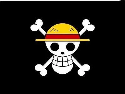A qui appartient ce drapeau pirate ?