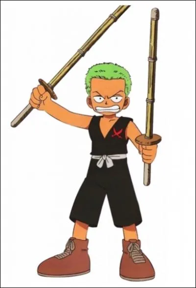 Quel est le surnom de Zoro ?