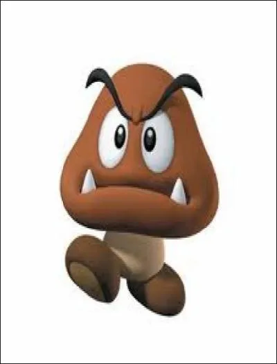 Qui est-il par rapport  Mario ?