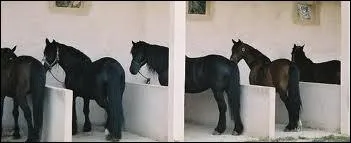 Quel est ce mode d'hbergement ?