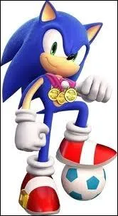 Comment s'appelle ce hrisson bleu qui va trs vite ?