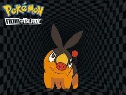 Quel est le nom de ce Pokmon ?