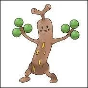 Quel est ce Pokmon ?