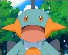 Quel est ce Pokmon ?