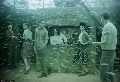 Dans lequel de ces trois films peut-on voir Joséphine, un dauphin ?