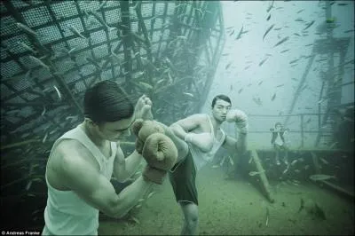 On trouve ce poisson, le combattant (betta splendens), uniquement dans la mer Mditerrane !