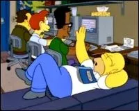 Quel est le poste d'Homer  la centrale ?