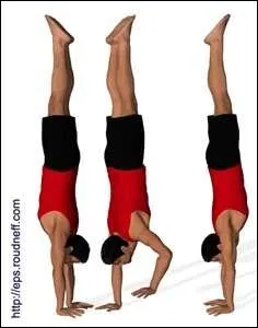 Comment s'appelle cette figure ?