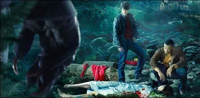 De quelle srie provient cette image ?