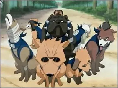 Qui sont ces chiens ?