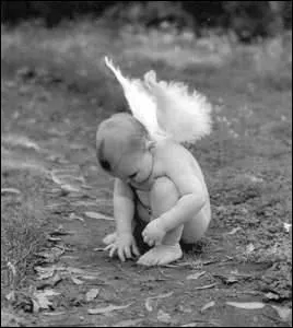 Mon troisime est ce que lui disait sa mre.