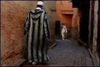 Qui chantait  Je sais bien que rue d'Belleville rien n'est fait pour moi, mais je suis dans une belle ville c'est dj a  ?