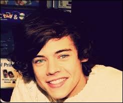 Quel membre du jury de X-Factor a donn une rponse ngative  Harry lors des auditions ?