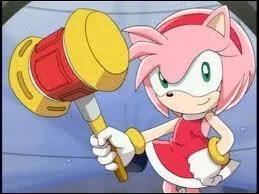 Comment s'appelle le marteau d'Amy ?