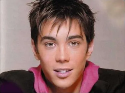 Comment s'appelle le dernier single de Grgory Lemarchal ?