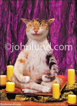 Comment appelle-ton cette posture de la zen attitude ?