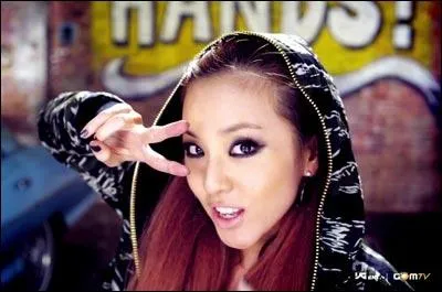 Comment s'appelle ce membre ?