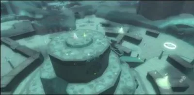 Qu'est-ce que les psysalis ?