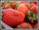 Chez quelques sujets prdisposs, la fraise entraine des allergies.