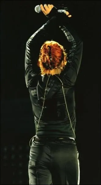 Pourquoi Mylne n'a-t-elle fait des concerts qu' Bercy-Paris en 2006 ?