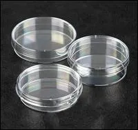 La  bote de Petri  est un dispositif invent par un assistant-biologiste.