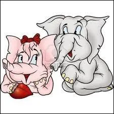 Nwt a fait une petite faute dans ce quiz, mais vous tes sympa et vous l'aimez bien :