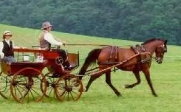 Quiz Galop 1