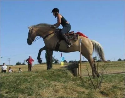 Quelle est cette discipline questre ?