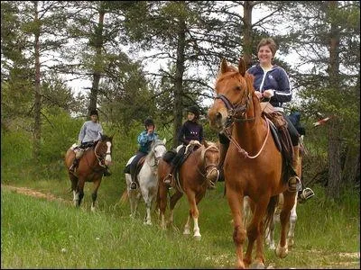 Quelle est cette discipline questre ?